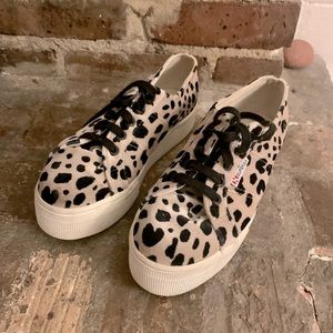 Superga platform sneakers, cheetah print